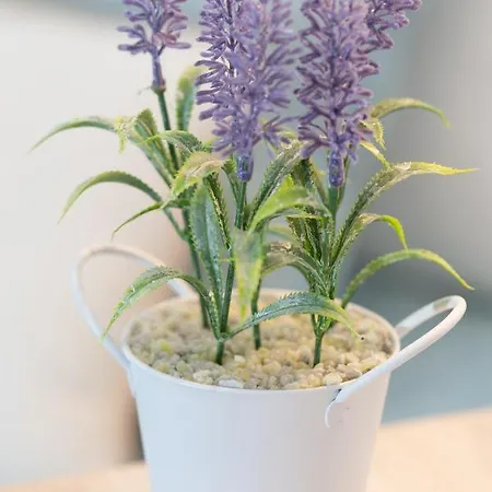 Old Town By Living * Бильбао