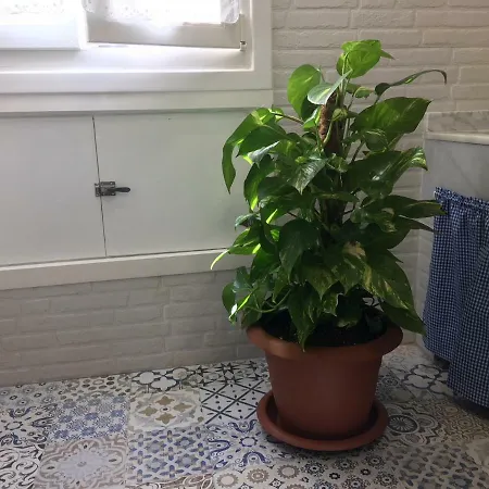 Old Town By Living Бильбао