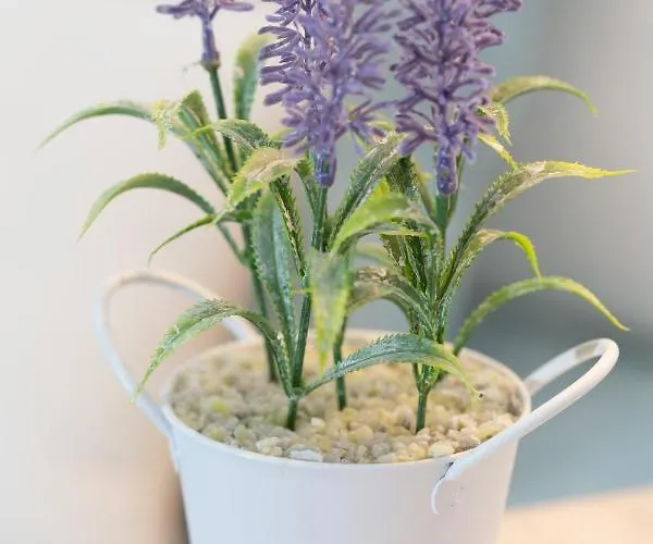 Old Town By Living * Bilbao